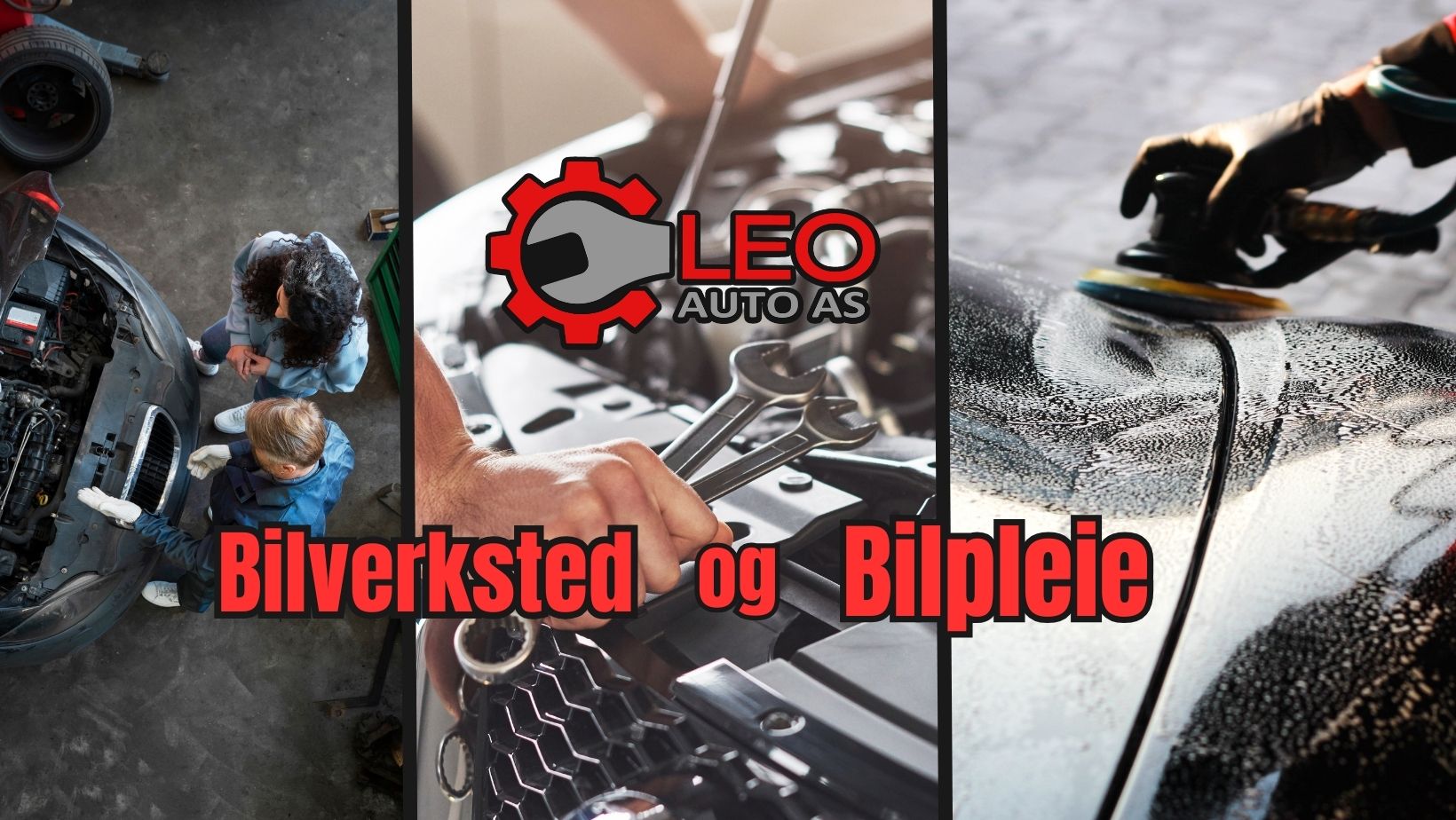 bilde nederst leo auto