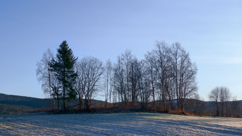 auto repair shop Hurdal